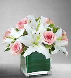 Modern Embrace Davenport Florist - Same Day Flower Delivery - Flower Power 